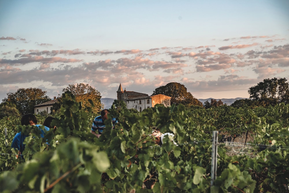 Domaine de Pélican