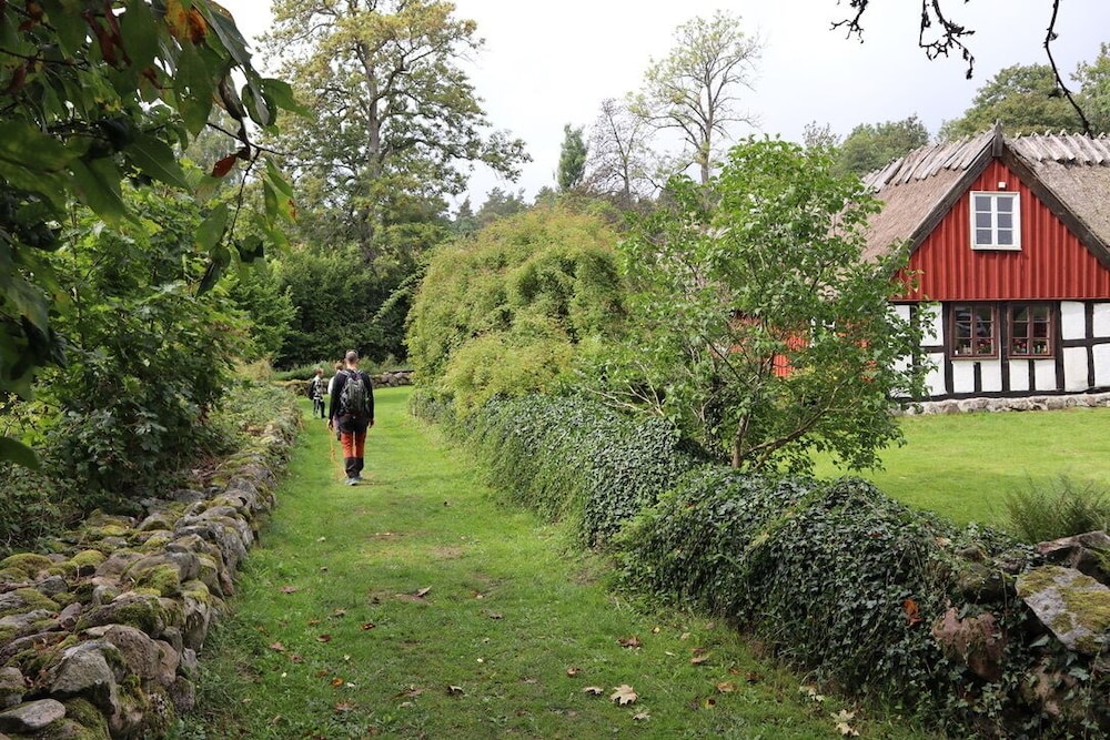Photo 22