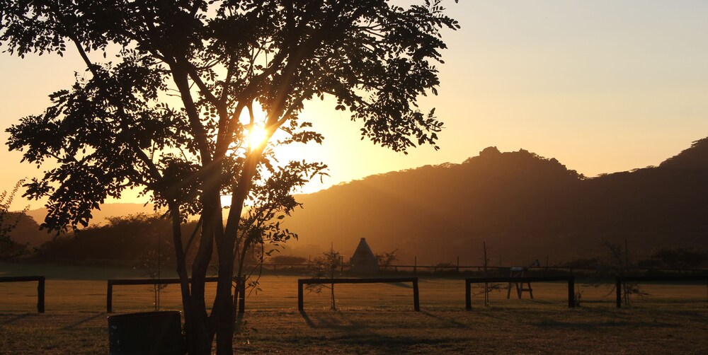 Bushman Rock Safaris
