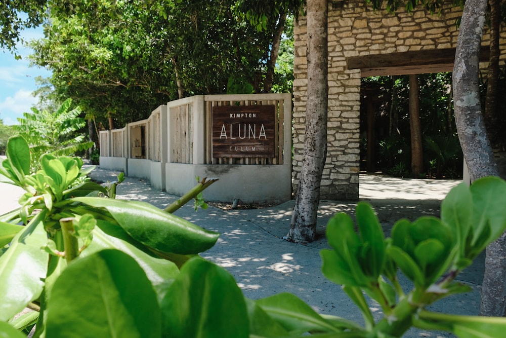 Kimpton Aluna Tulum, an IHG Hotel - Property Image 165
