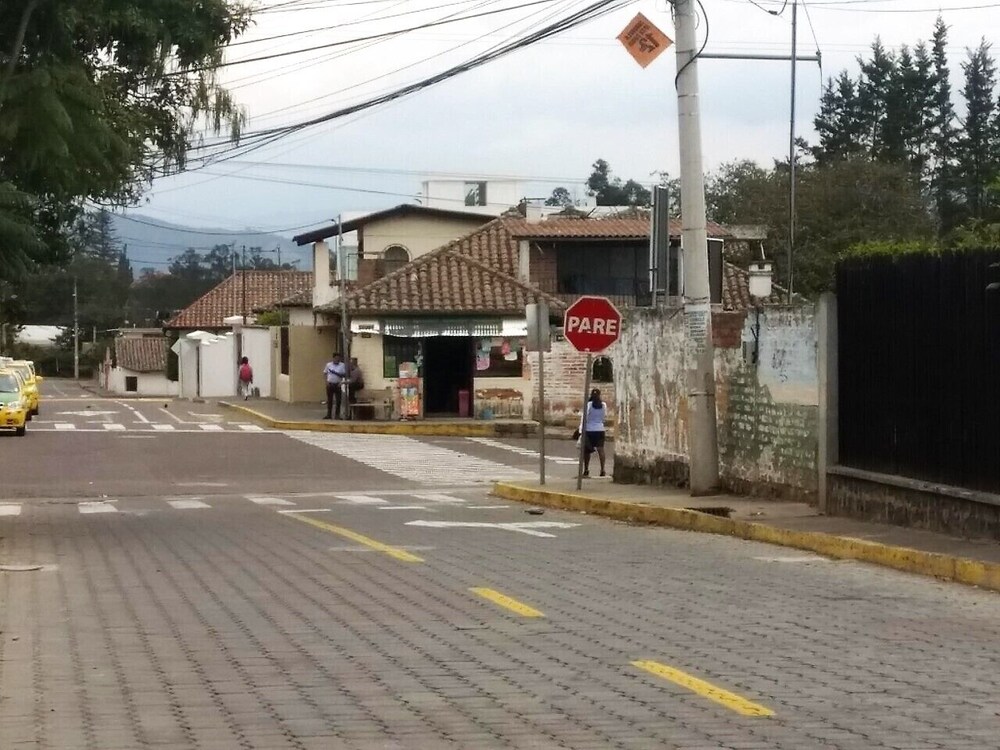 Photo 37