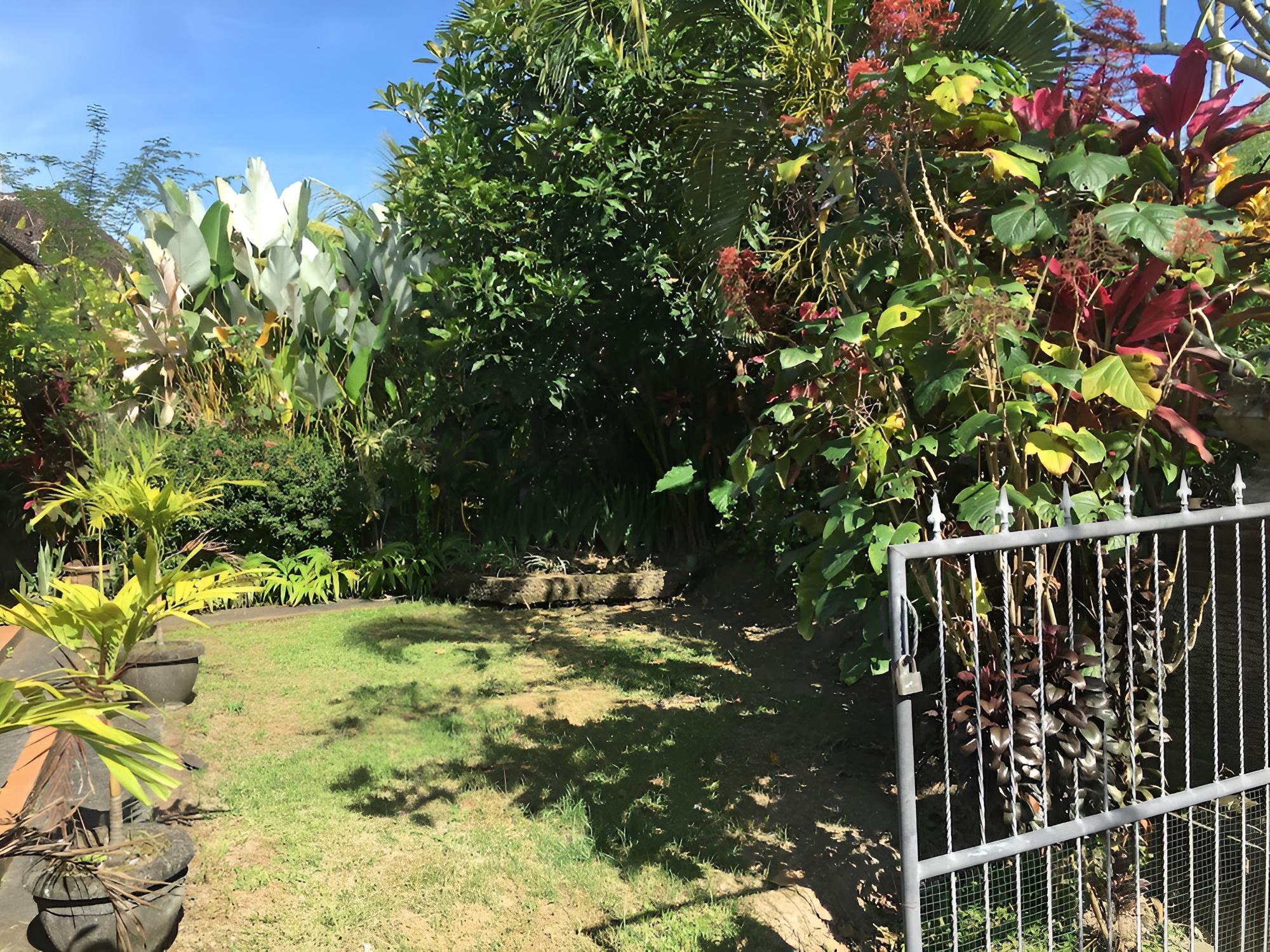 Ayung house