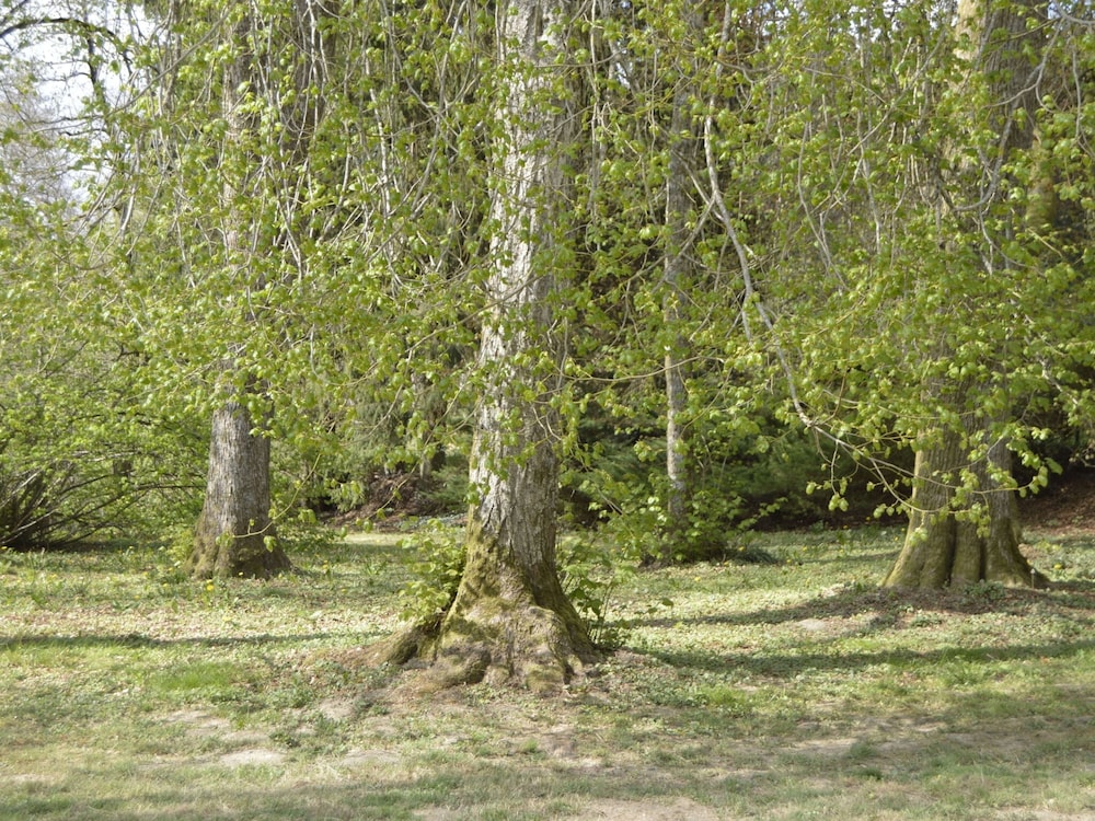 Photo 35