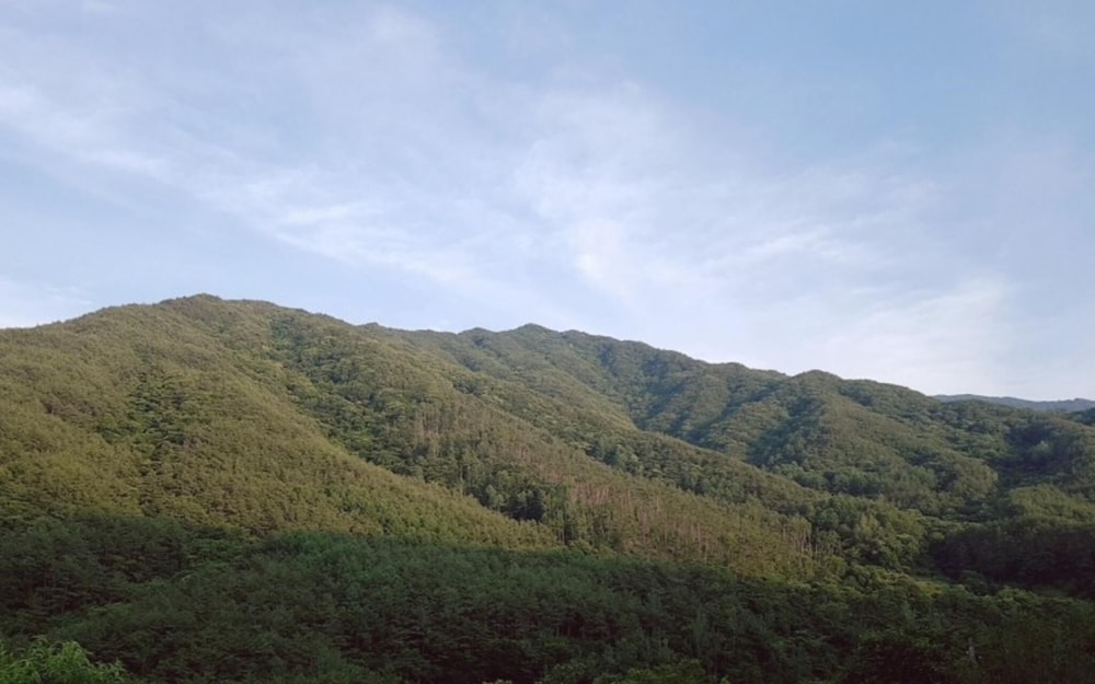 Namwon Kids Pool Villa Woorine Pension view 4