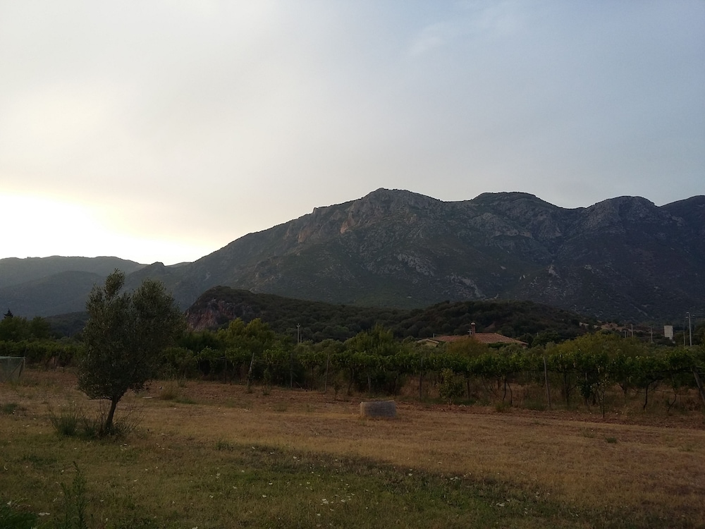 Photo 32