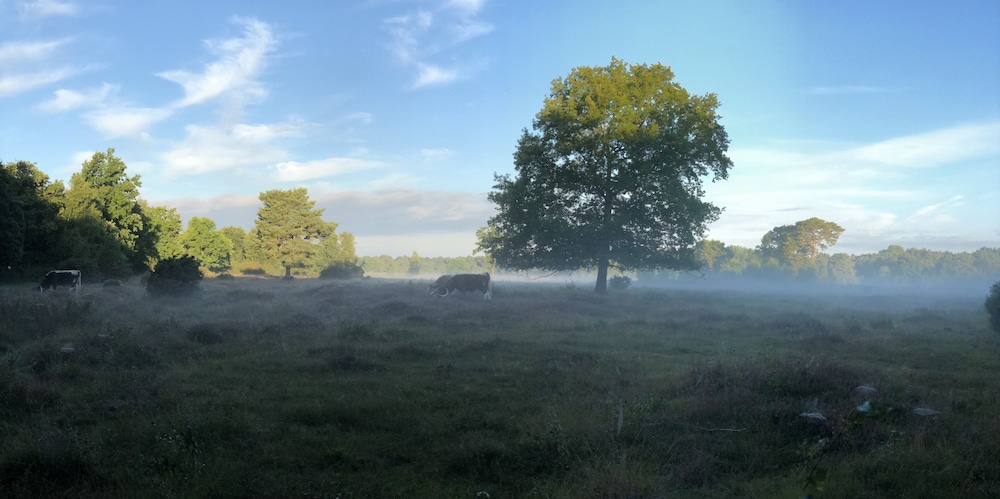 Field House Farm Lodge view 2