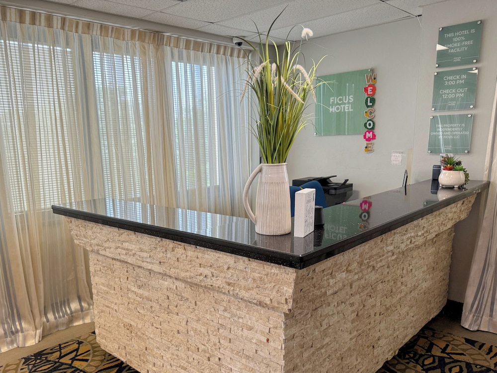Ficus Hotel - Property Image 3