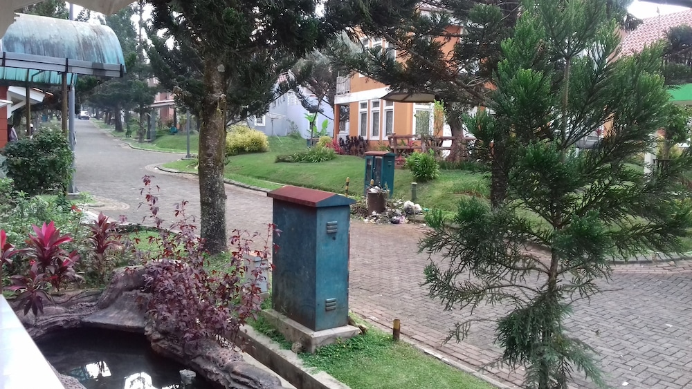 Photo 41