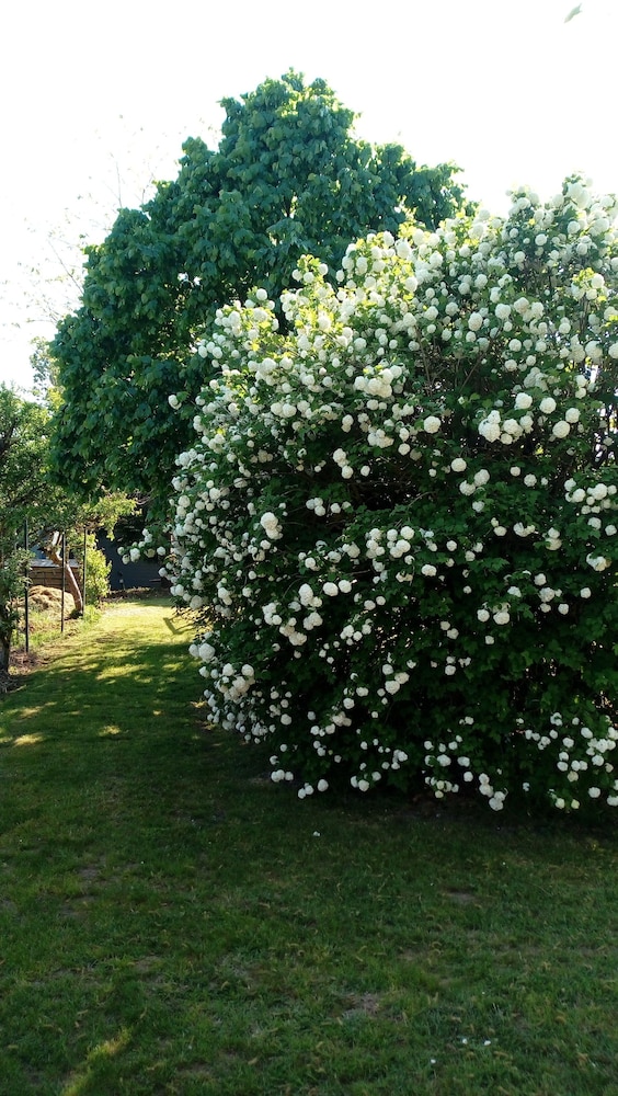 Camping Au Clos de Beaulieu