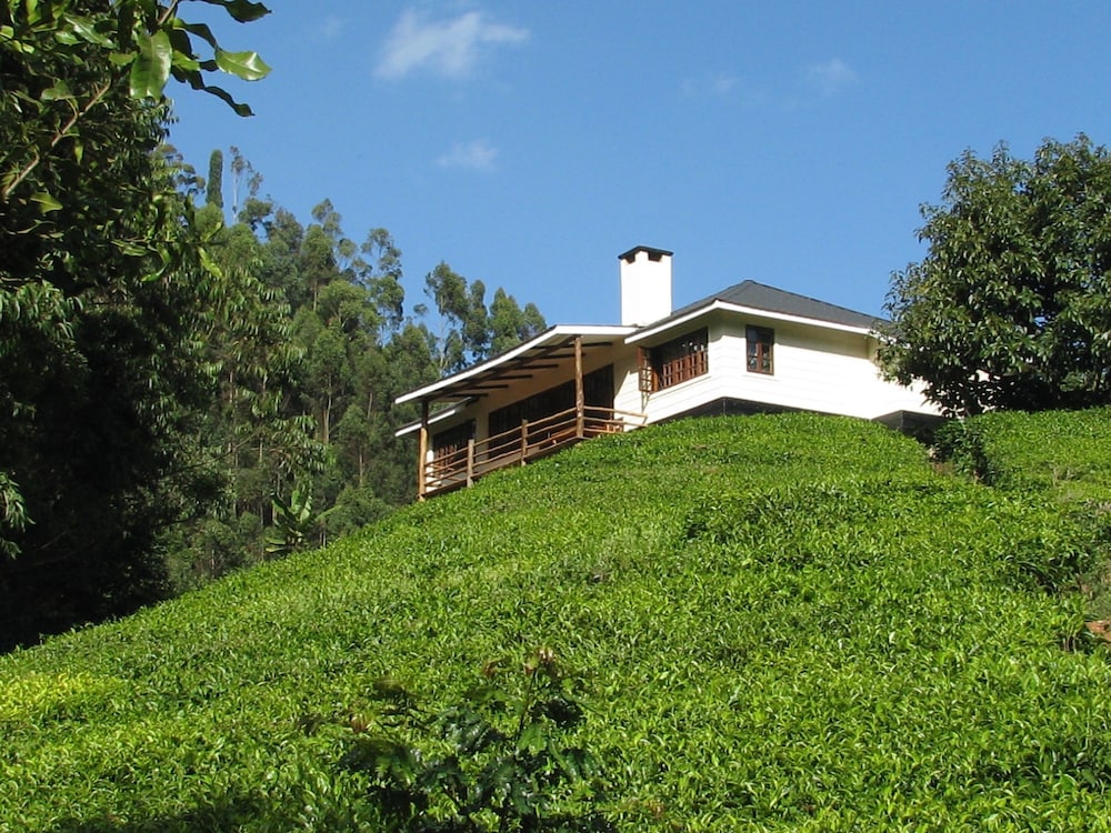 Photo 11