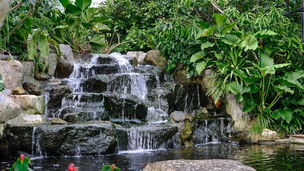 Lush Inn Phuket