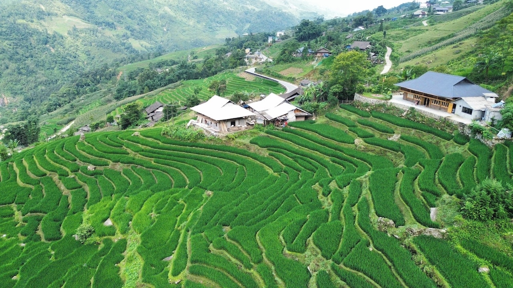 Bees Homestay Sapa & Trekking