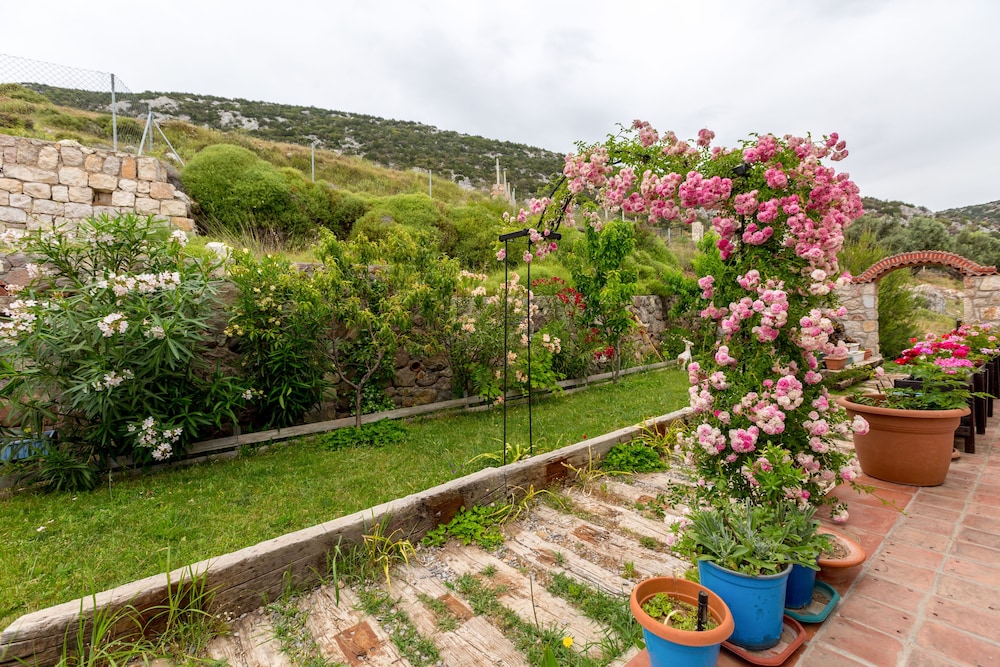 Mavi Keci Otel
