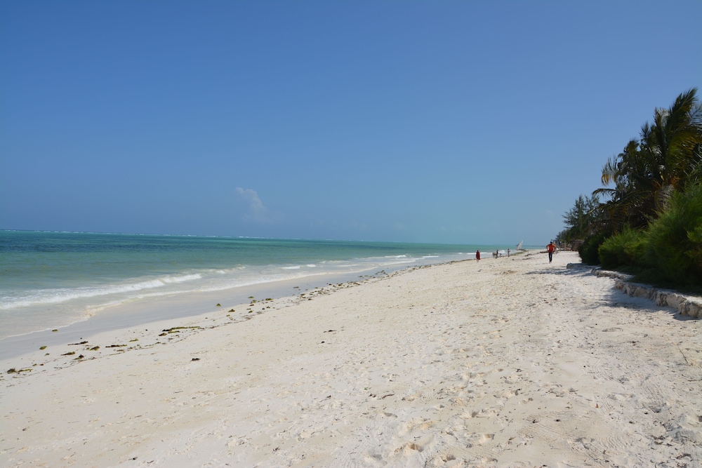 Kiwengwa Vacations - Neptune Pwani Beach Resort Spa Zanzibar - Property Image 79