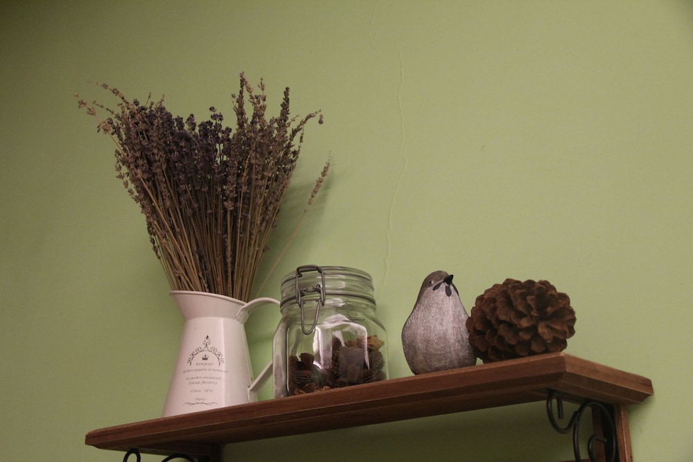 Snail Trail B&B