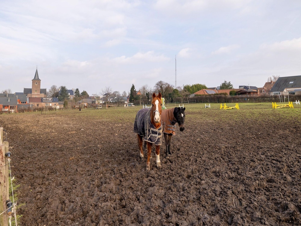 Riding School Farm Stay