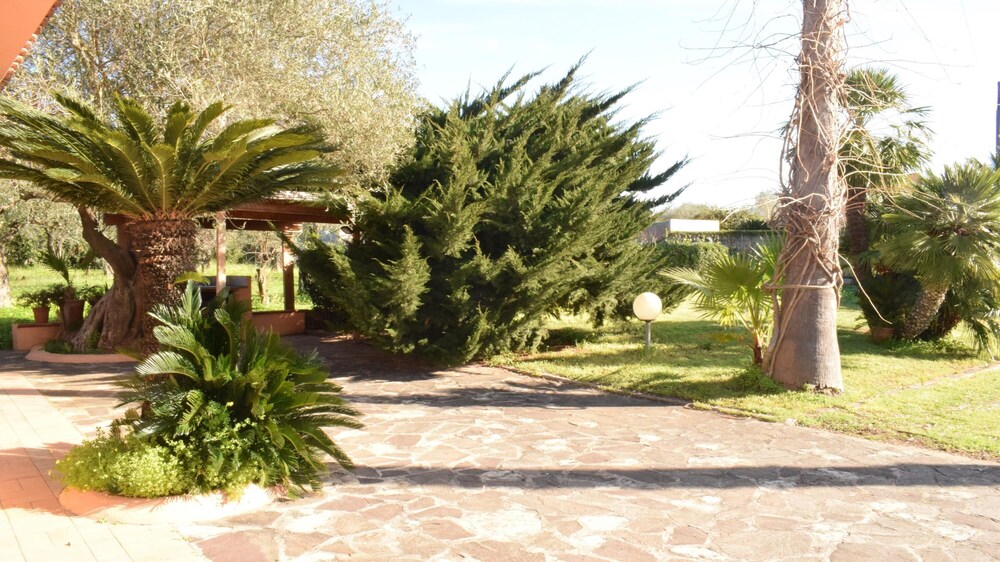 Photo 14