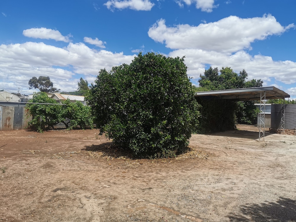 Wattle House