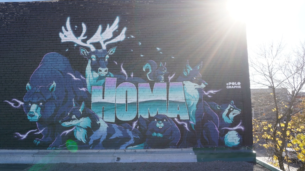 HoMa HomeStay Hotel by Olympic Stadium Montreal (Auberge/Hostel) - Image 2