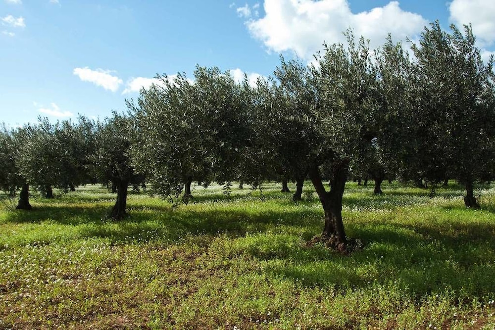 Agriturismo Masseria Piutri
