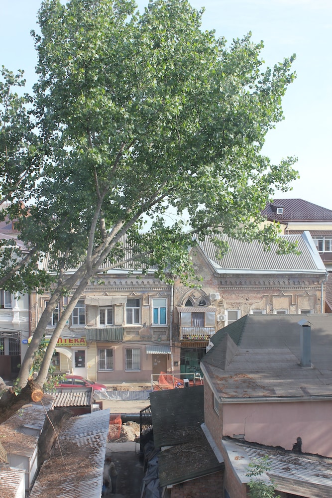Photo 49