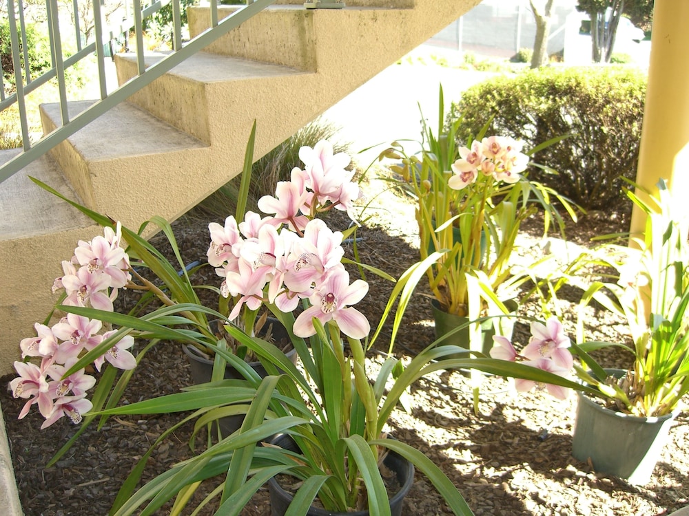 Photo 53
