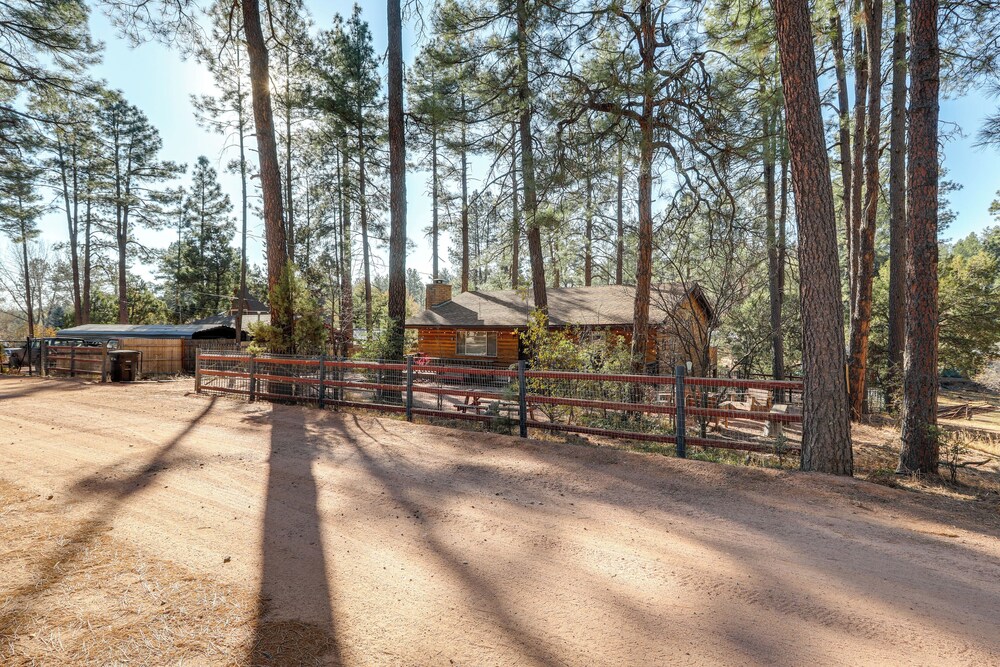 Deck & Forest Views: Black Bear Cabin' in Payson