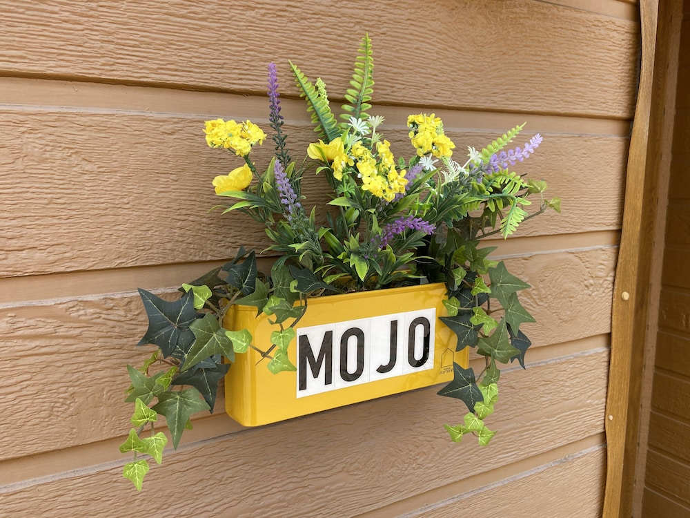 Mojo