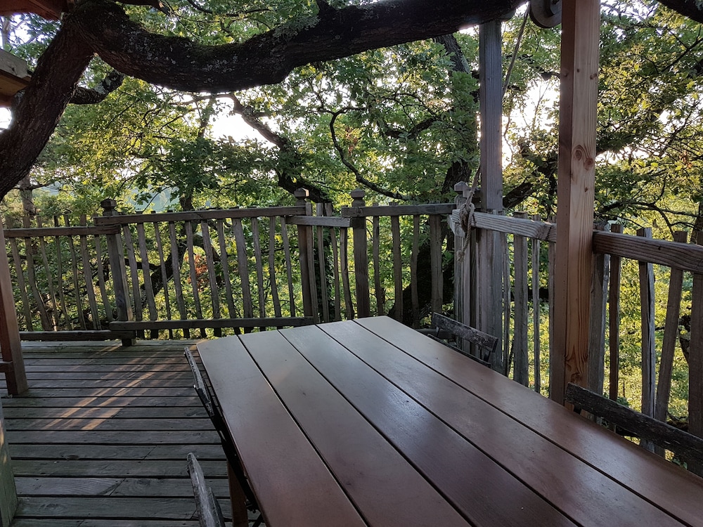 Arbrakabane - Property Image 41