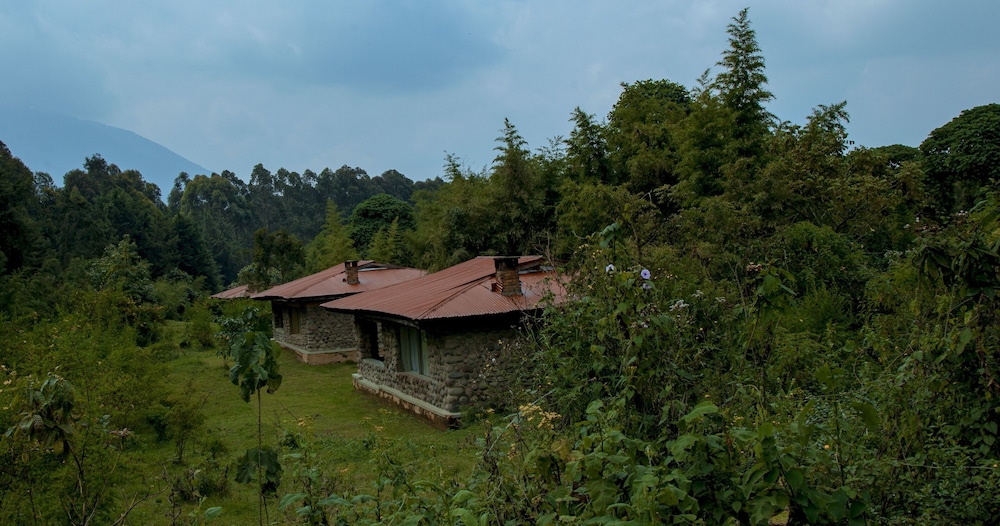 Mountain Gorilla View Lodge