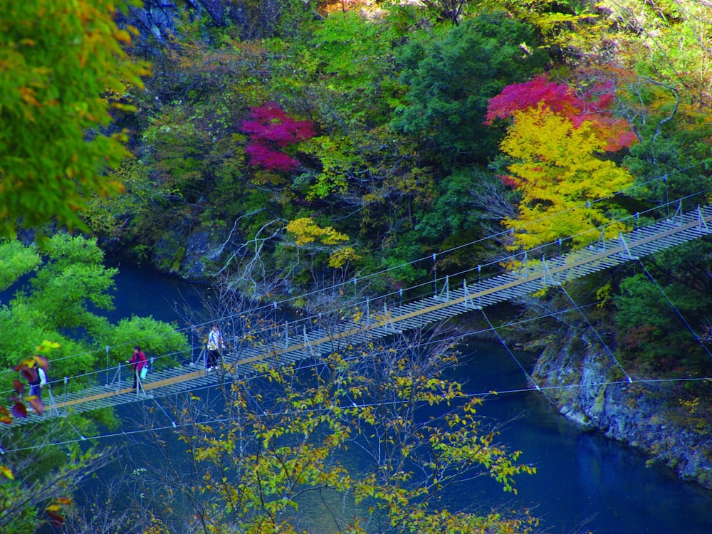 Sumatakyo Onsen Suikoen