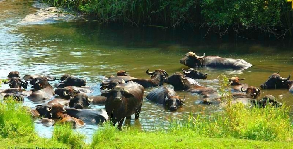 Ixnilatis - Property Image 18