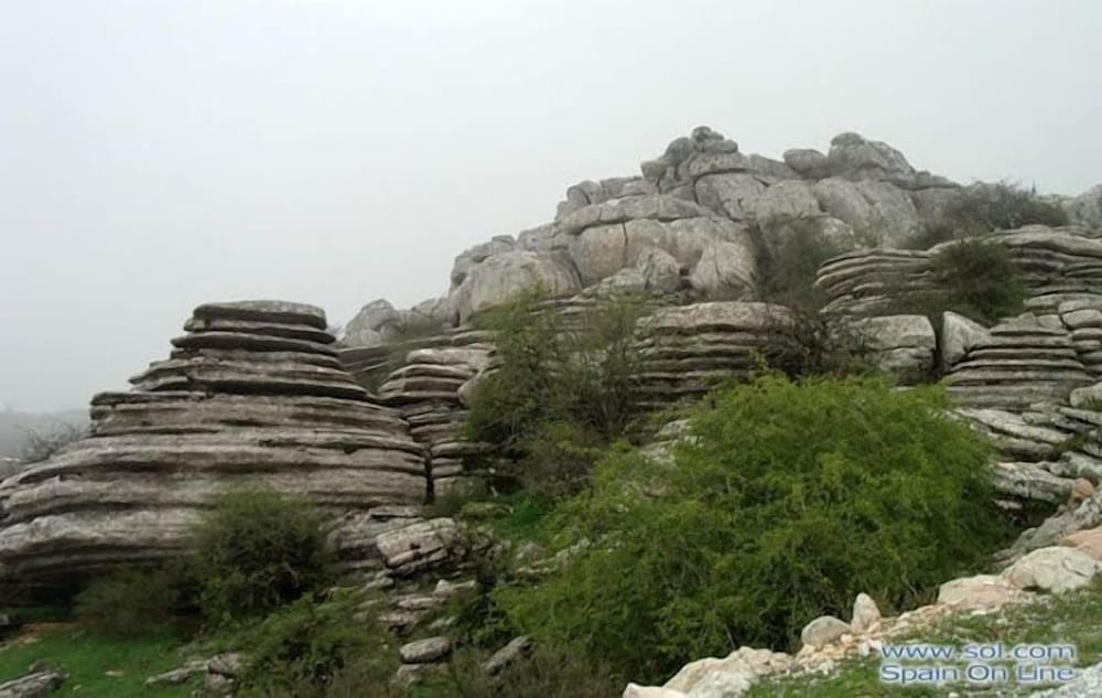 Photo 50