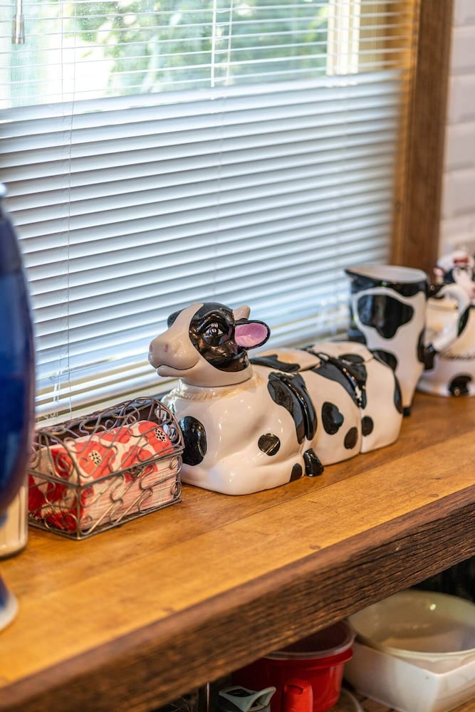 The Spotted Cow City Fringe Pet-friendly