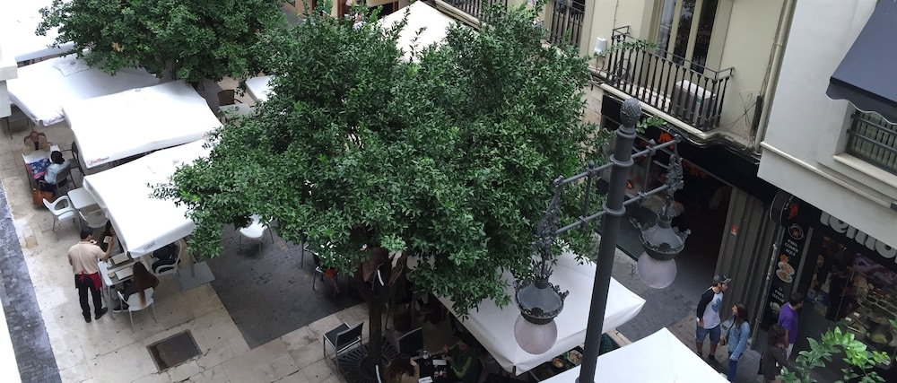 Valencia Vacations - Dusia's home - Property Image 10