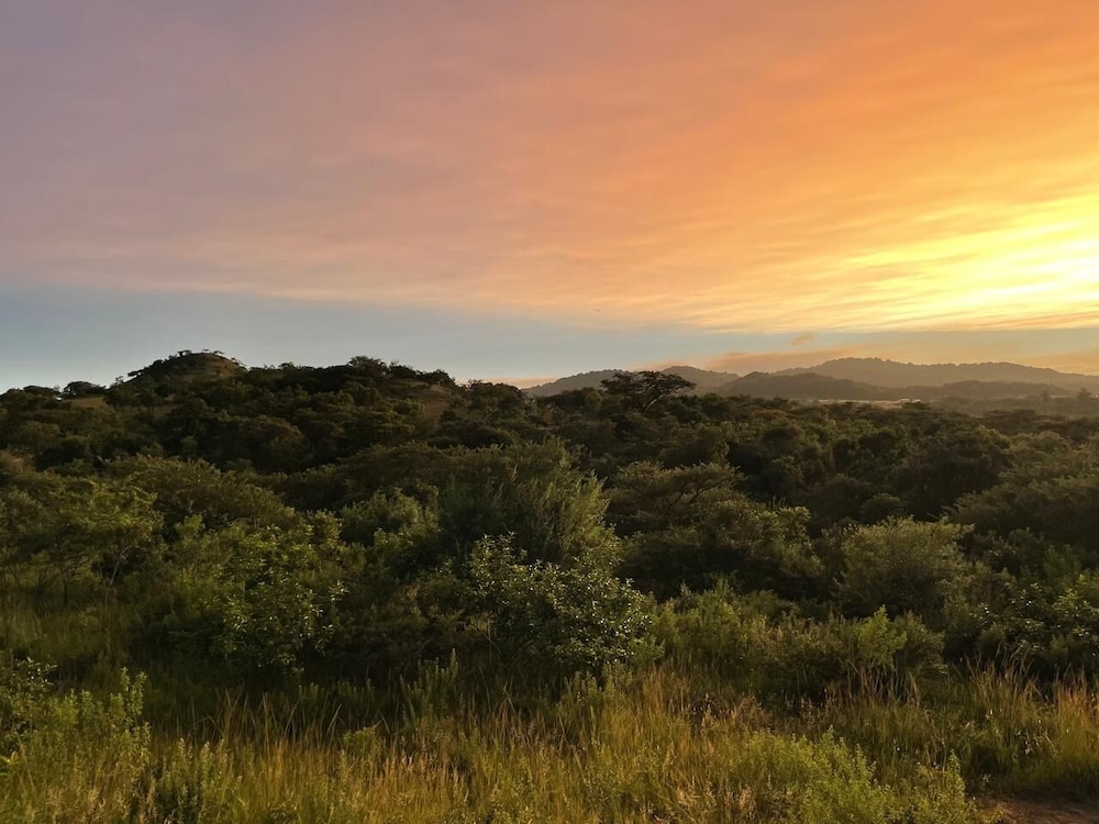 Syeta Bush Lodge