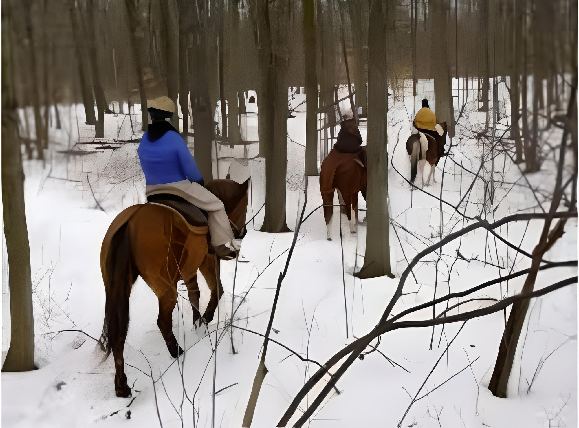 Poconos Exquisite Home - Property Image 15