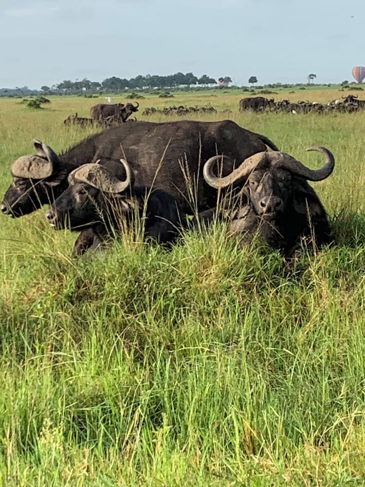 Oreteti Mara Lodge
