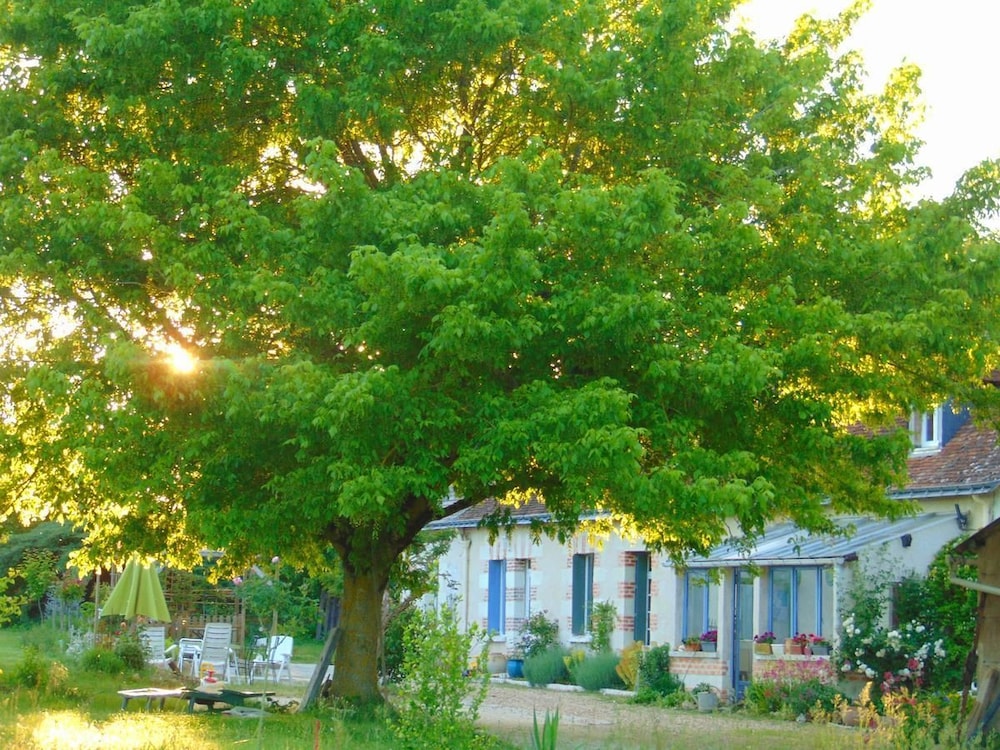 La Ferme aux Oies