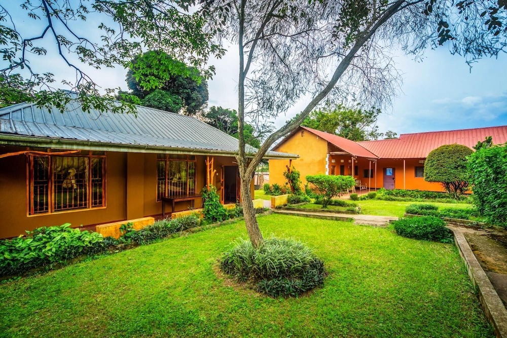 Banana Village
