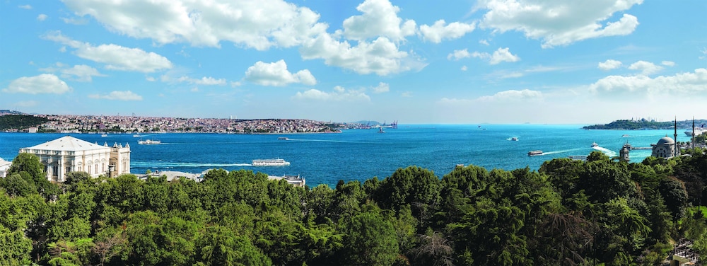 Swissotel The Bosphorus Istanbul - Image 227