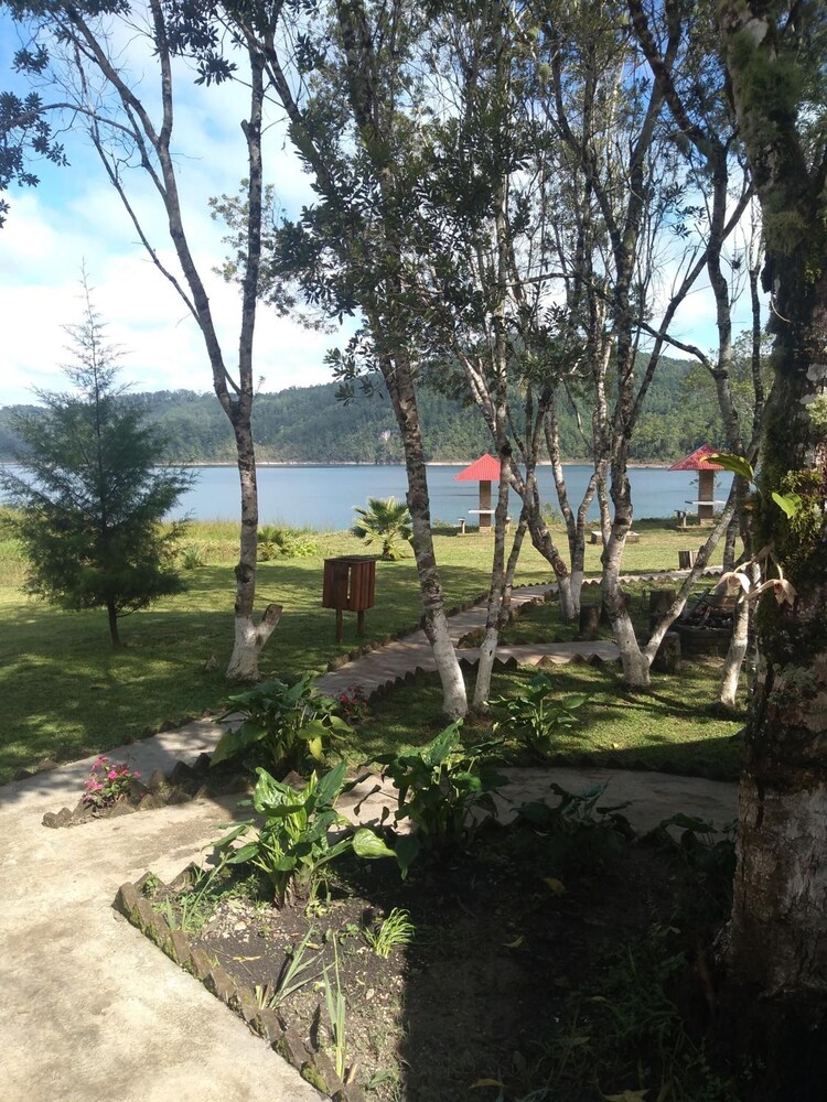 Photo 25