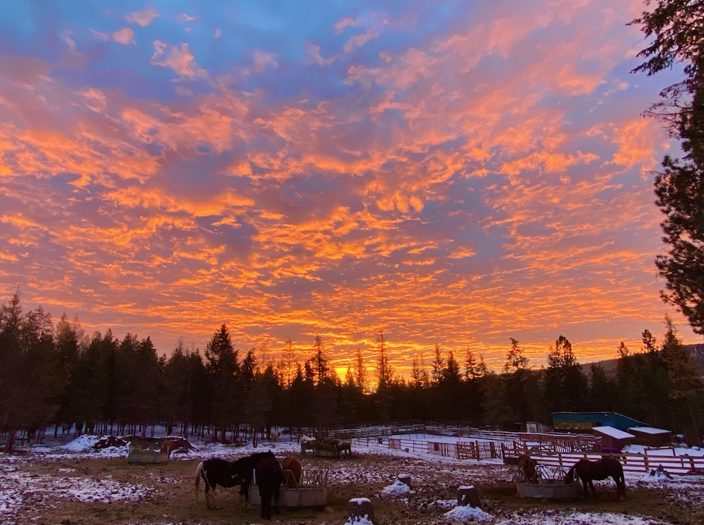 Dream Haven Guest Ranch