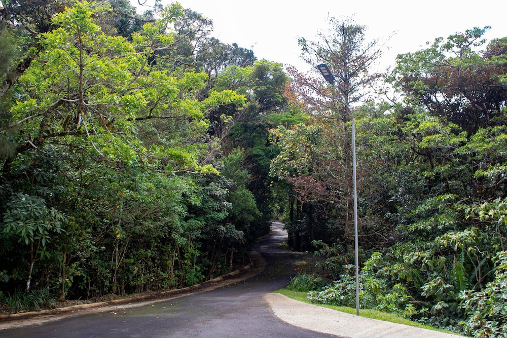 Monteverde Cloud Forest Vacations - Fondavela Hotel - Property Image 6