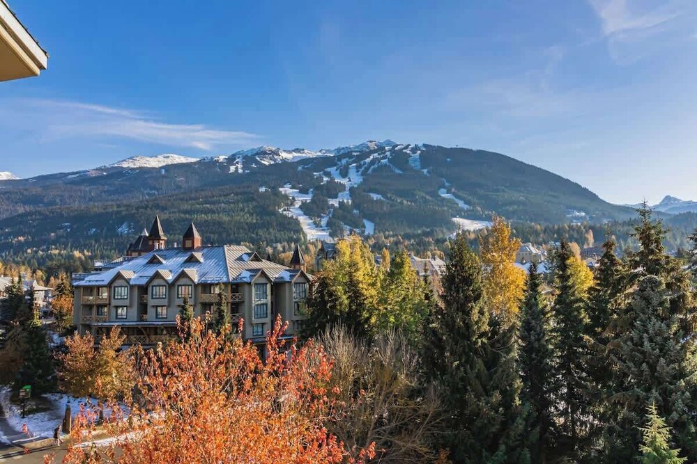 Large Spacious one Bedroom Suite - 506