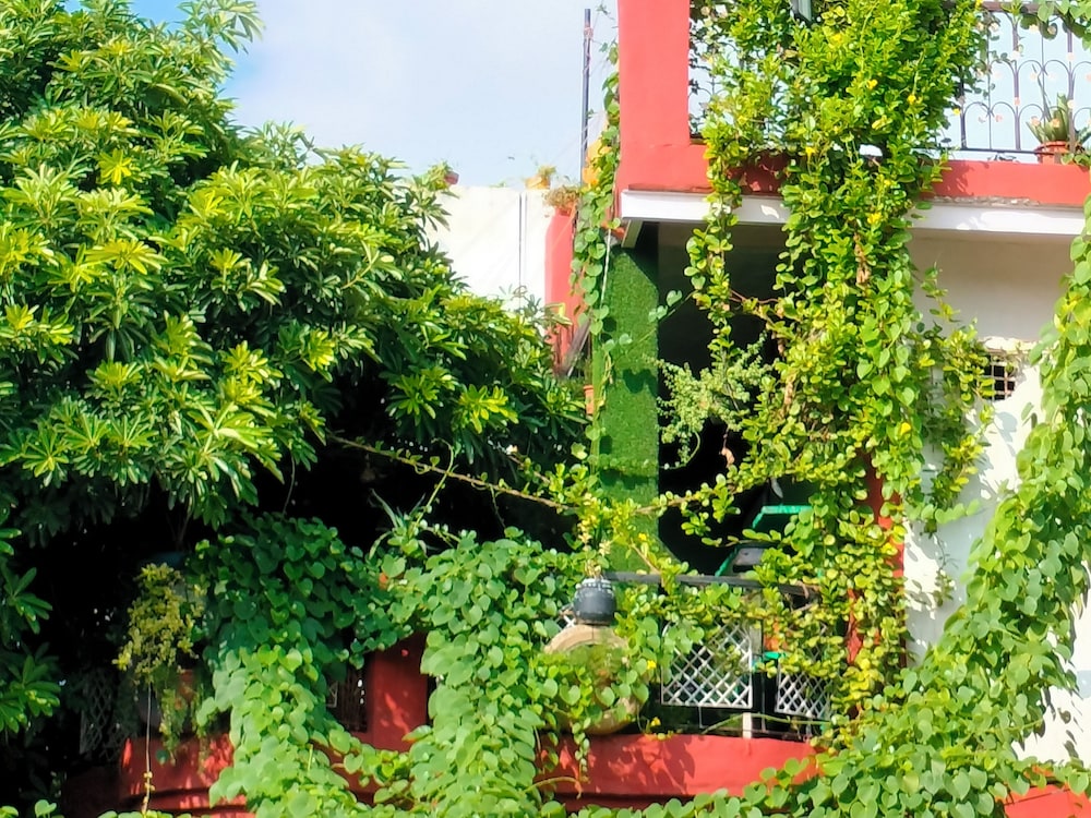 Kishan Home Stay