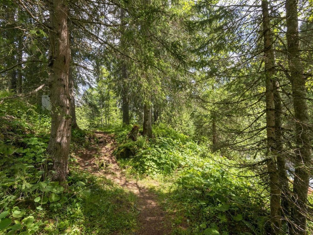 Holiday Home Near ski Resort in St. Gallenkirch