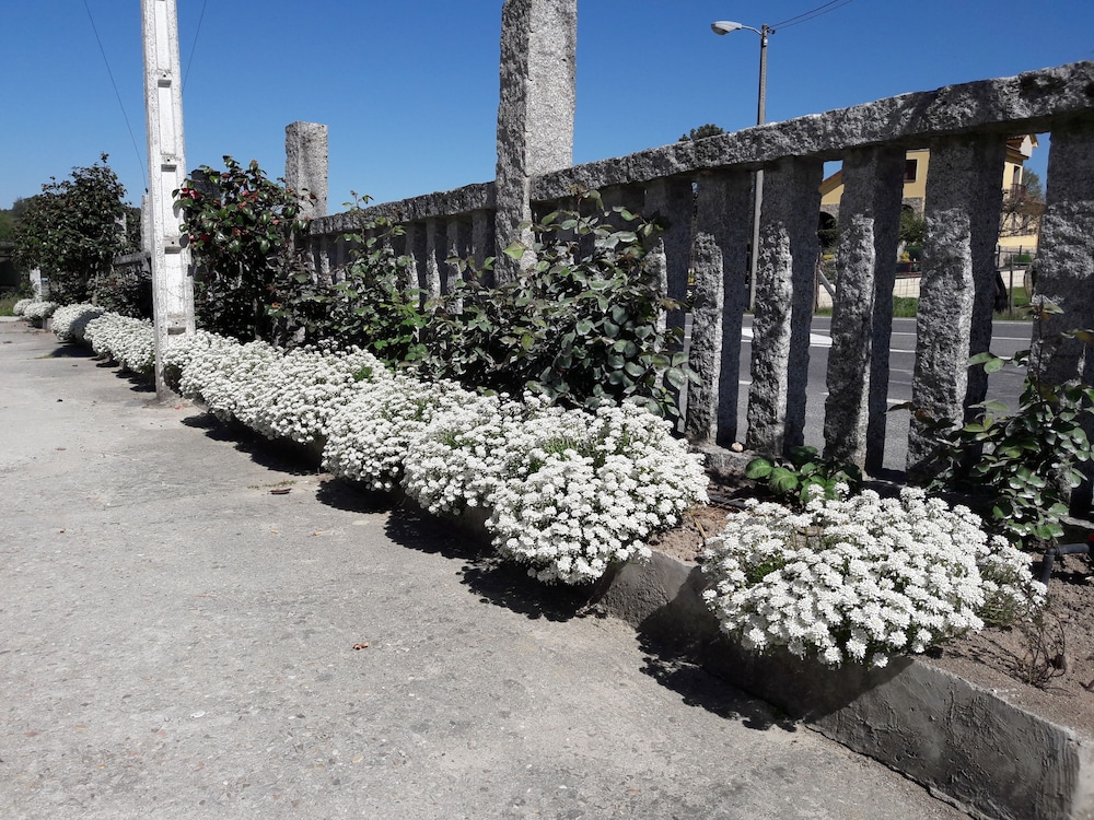Hostal Sequeiros