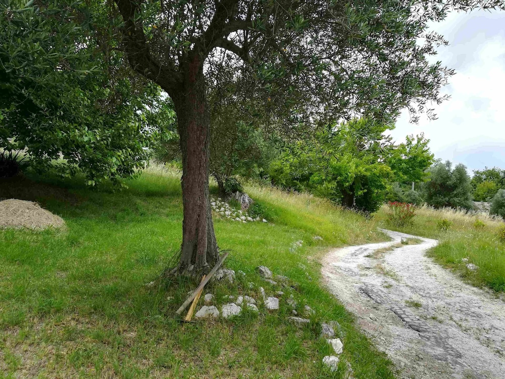 Photo 27