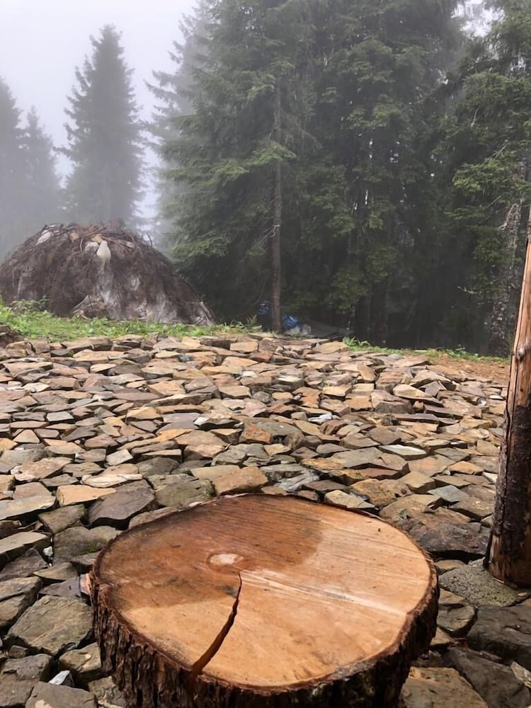Demircioglu Pokut Dag Evi